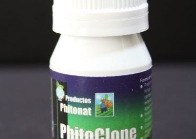 Phito clone