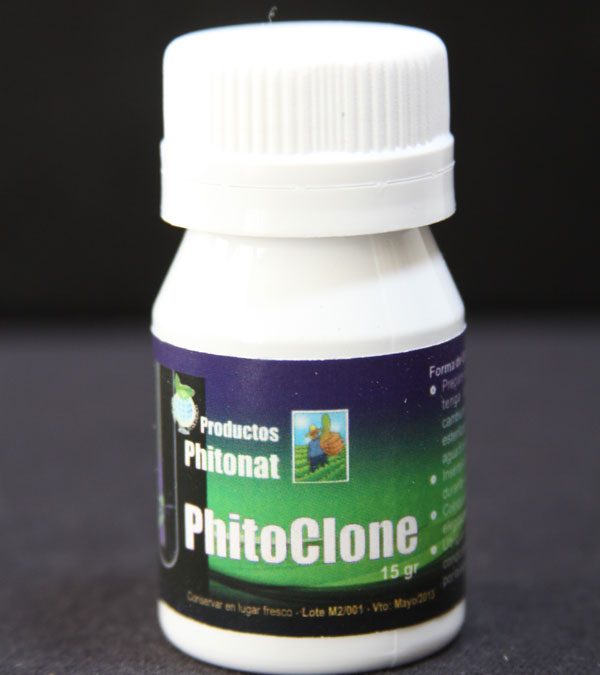 Phito clone