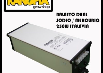 Balasto Dual 250W ITALAVIA