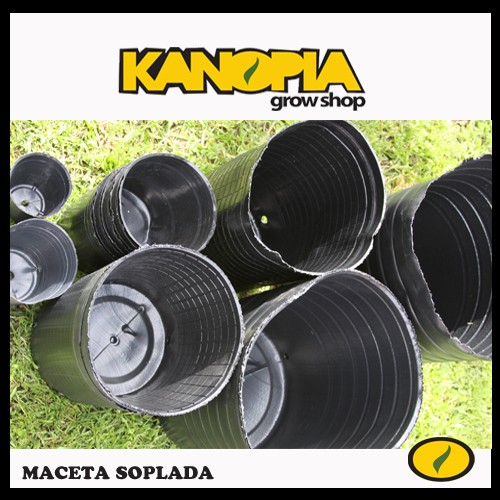sopladas-500x500